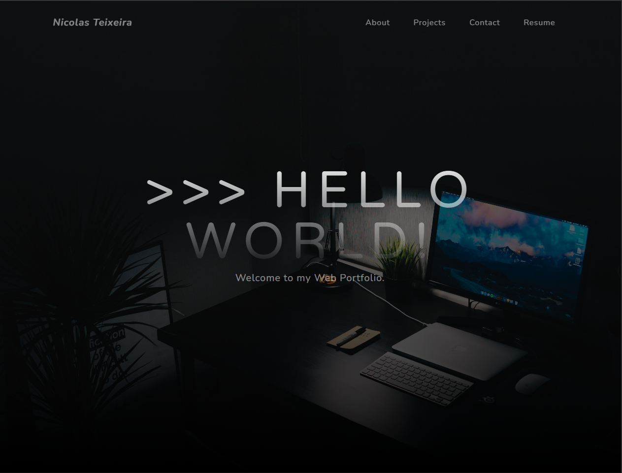 Portfolio Website Frontend Screenshot